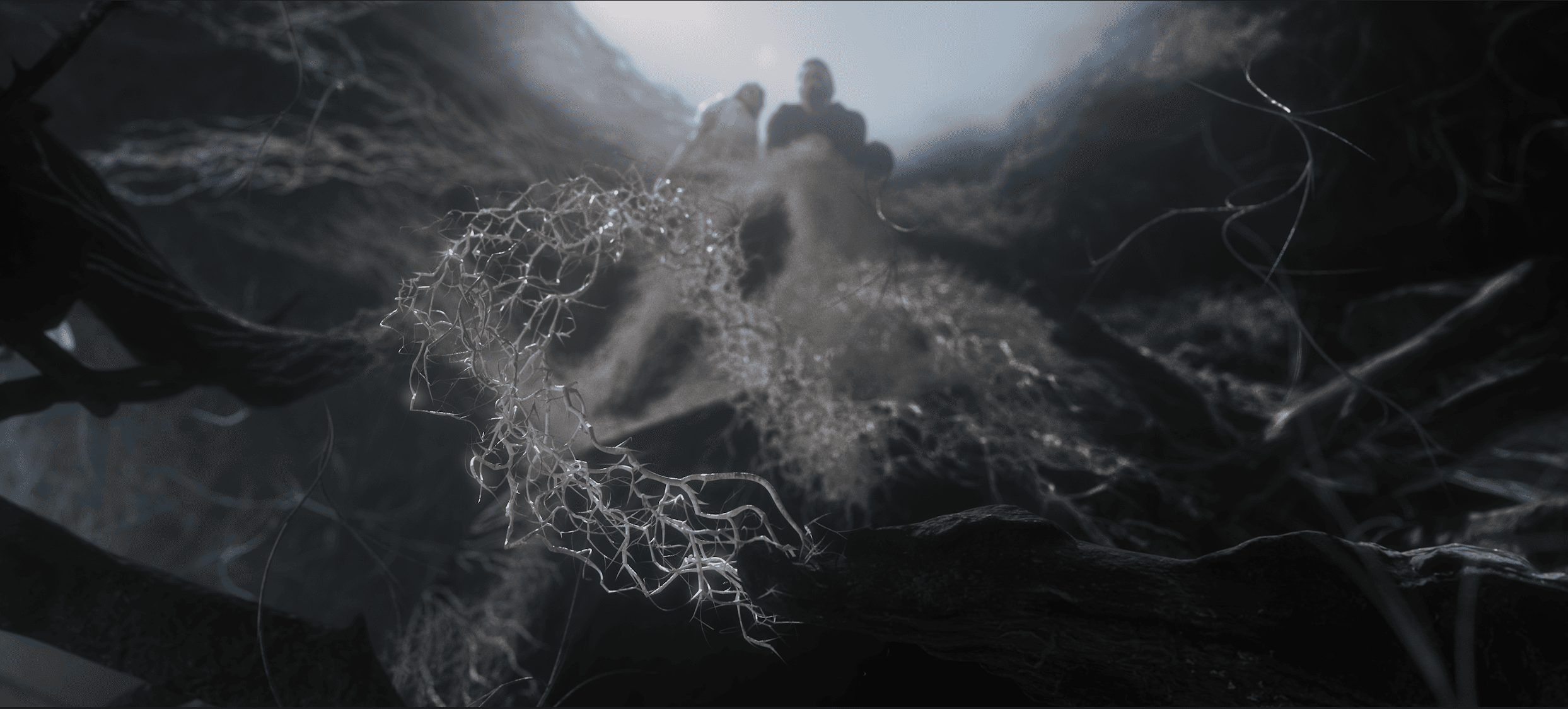 Project Gallery Image