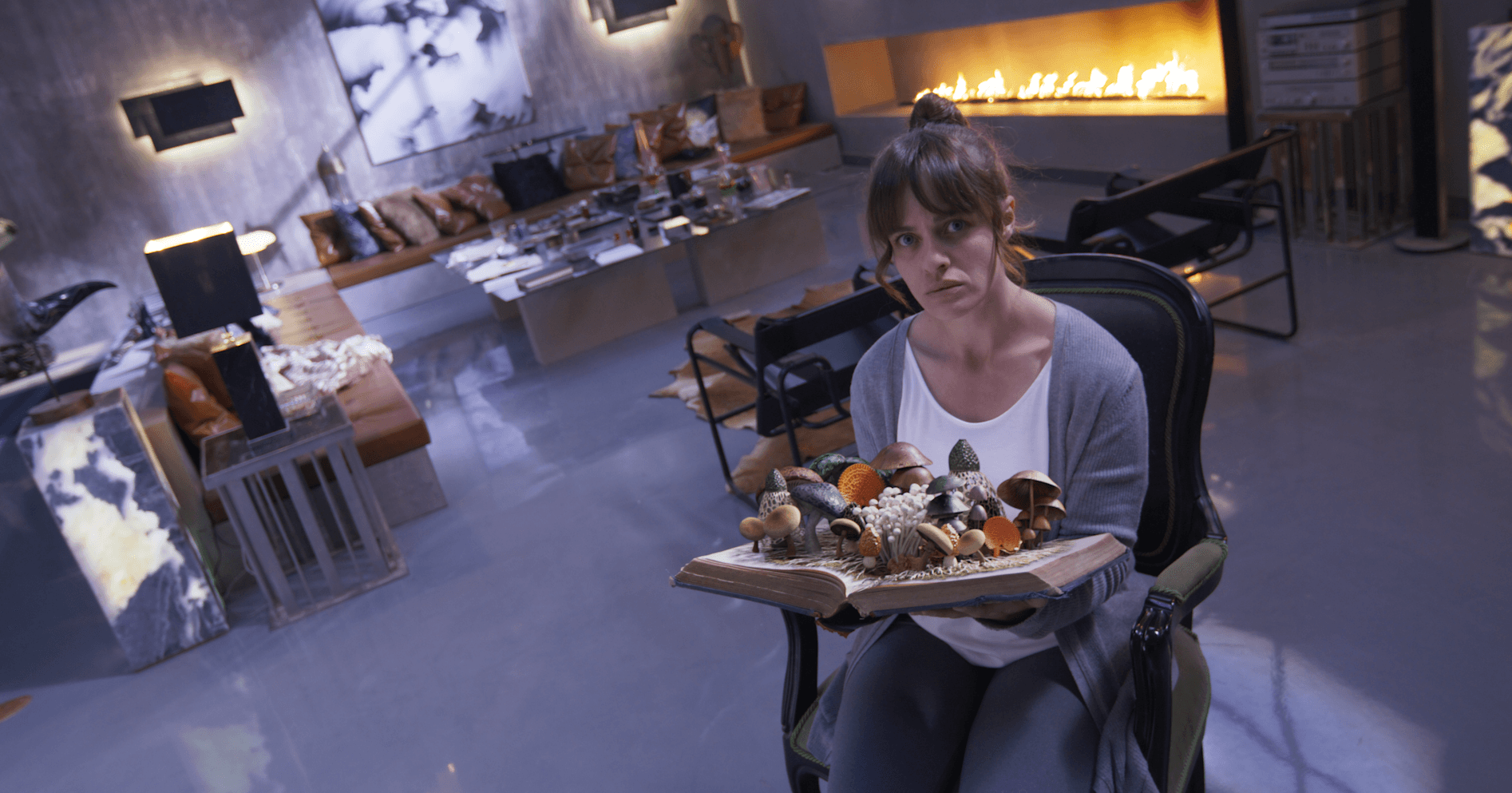 Project Gallery Image