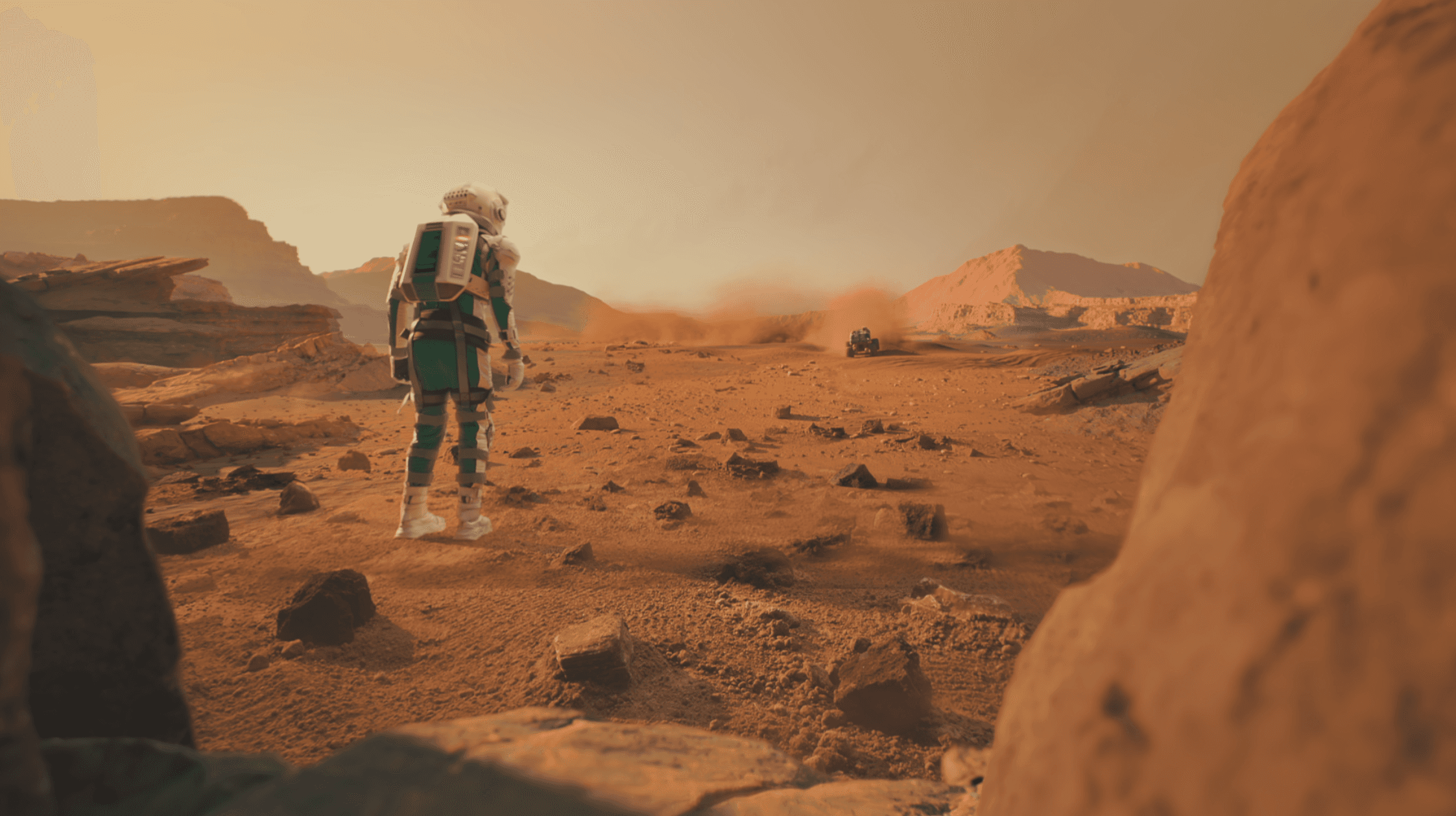 Project Gallery Image