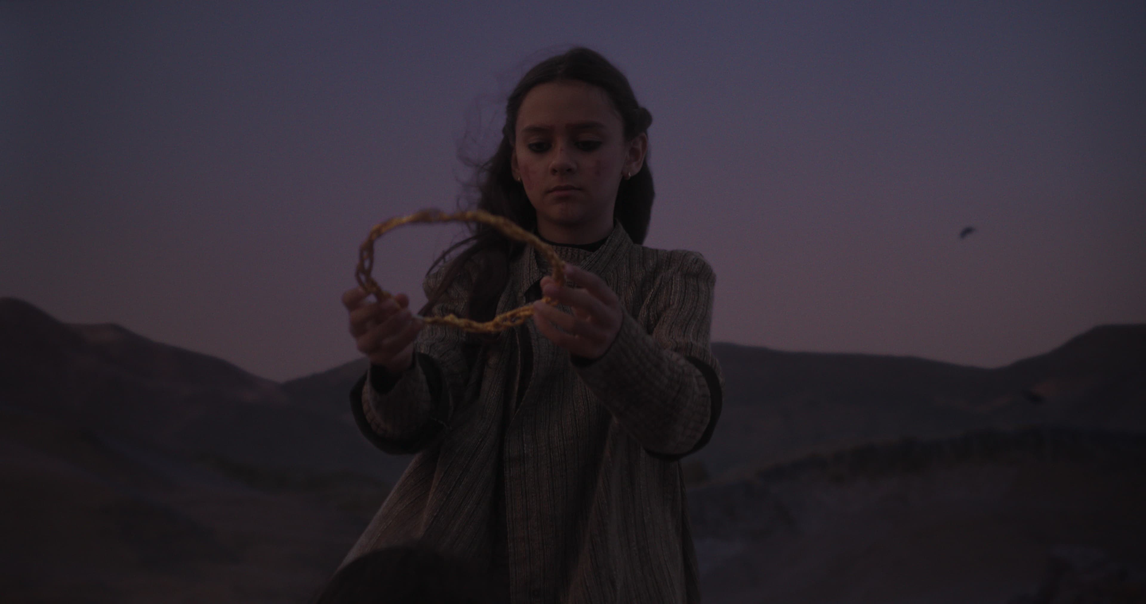 Project Gallery Image