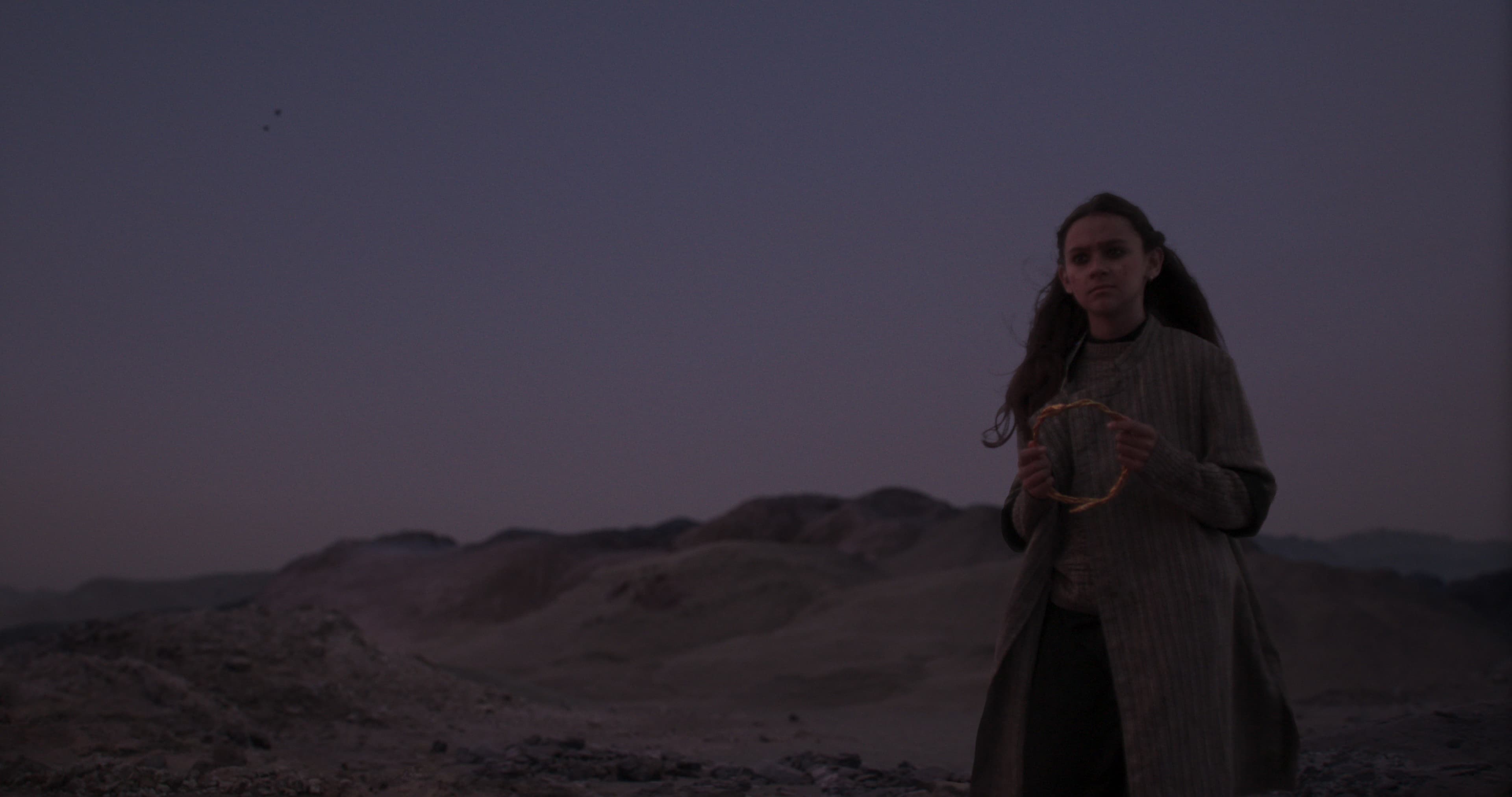 Project Gallery Image